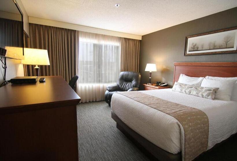 스탠다드 룸 킹사이즈 침대, C Mon Inn Billings