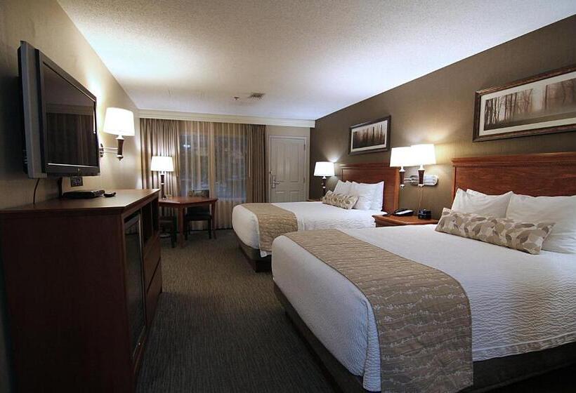 디럭스 룸, C Mon Inn Billings