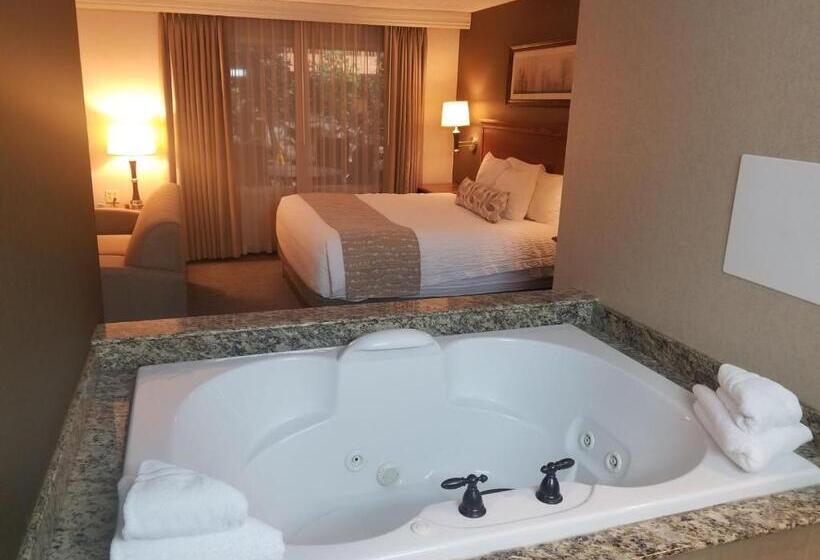 스위트 킹사이즈 침대, C Mon Inn Billings