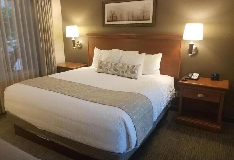 스위트 킹사이즈 침대, C Mon Inn Billings