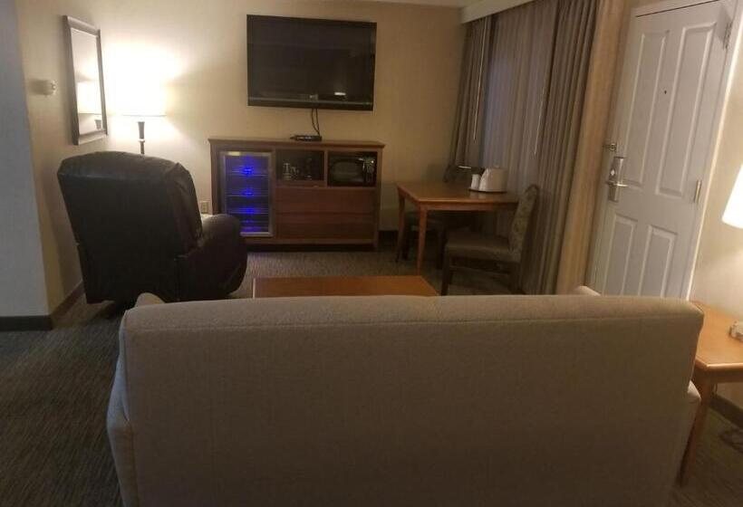 스위트 킹사이즈 침대, C Mon Inn Billings