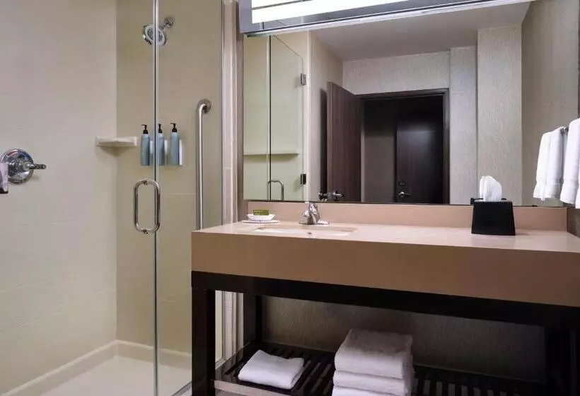 キングサイズベッドのスタンダードルーム, Courtyard By Marriott Dallas Dfw Airport North/grapevine