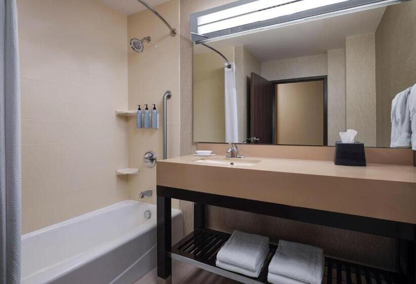 Номер Стандарт, Courtyard By Marriott Dallas Dfw Airport North/grapevine