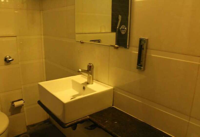 豪华房间, Delhi Airport Plaza