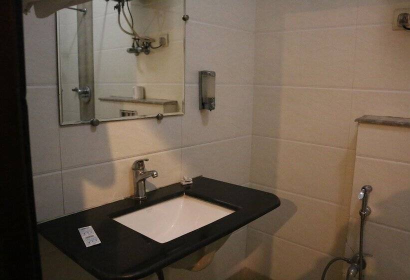 豪华房间, Delhi Airport Plaza