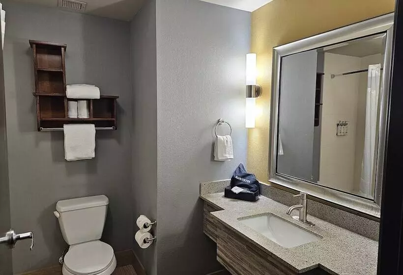 スイート, Holiday Inn Express & Suites Perry National Fairground Area, An Ihg