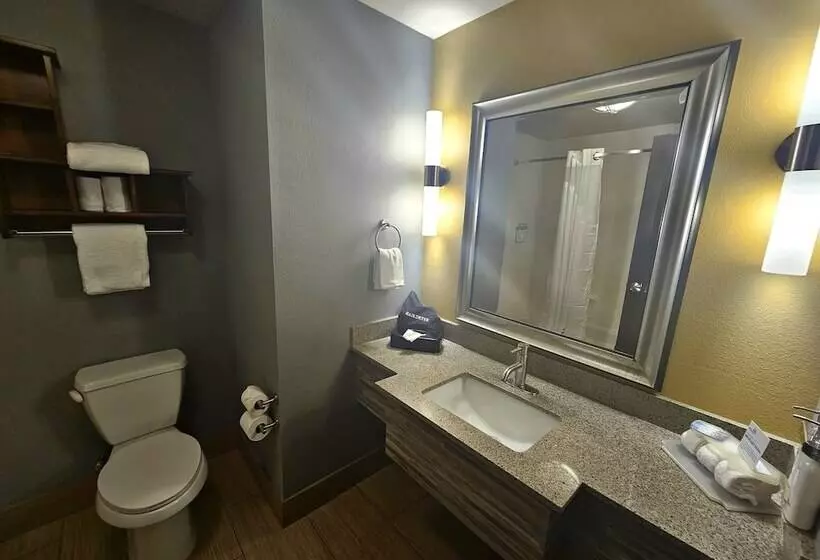 スタンダードルーム, Holiday Inn Express & Suites Perry National Fairground Area, An Ihg