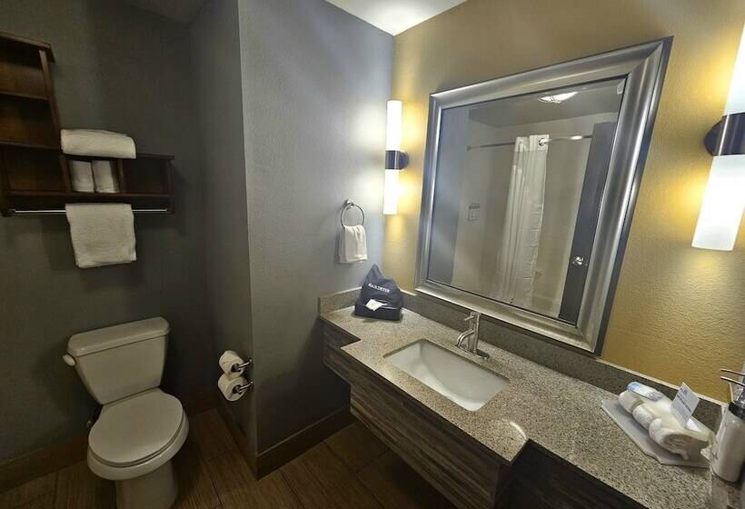 جناح لذوى الاحتياجات الخاصة, Holiday Inn Express & Suites Perry National Fairground Area, An Ihg