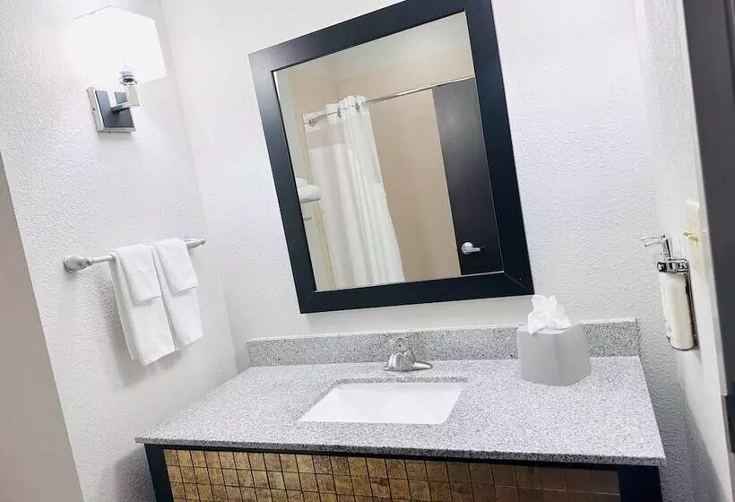 スタンダードルーム, Holiday Inn Express & Suites Houston East Baytown By Ihg