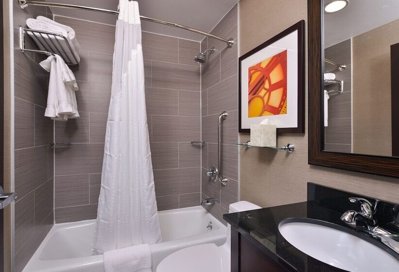 חדר סטנדרט שתי מיטות זוגיות, Holiday Inn New Yorkjfk Airport Area