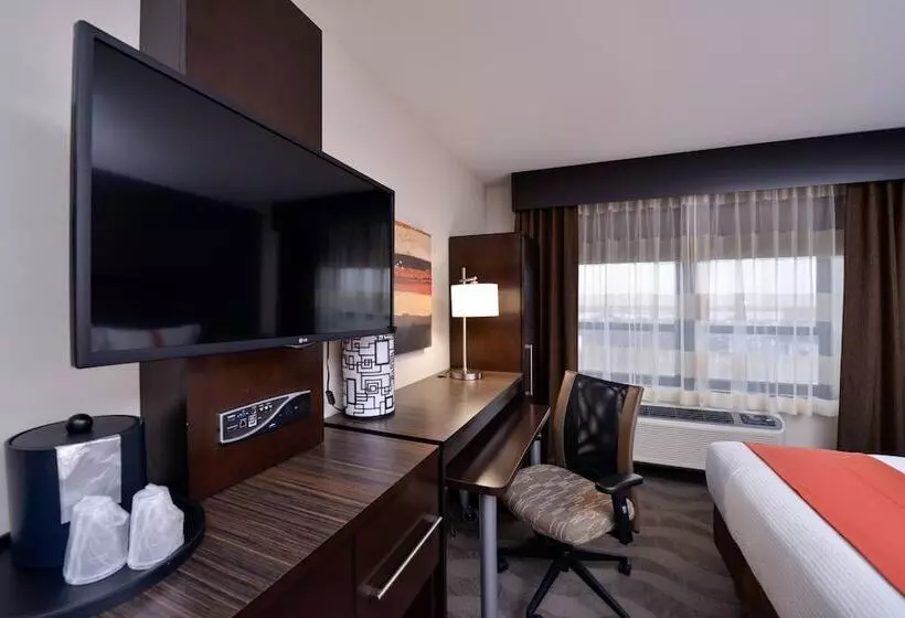 اتاق استاندارد با 2 تخت دوبل, Holiday Inn New Yorkjfk Airport Area