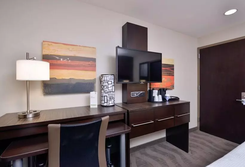 اتاق استاندارد با 2 تخت دوبل, Holiday Inn New Yorkjfk Airport Area
