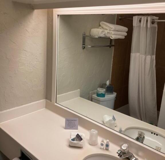 Standard Szoba King Size Bed, The Aurora Inn Hotel And Event Center