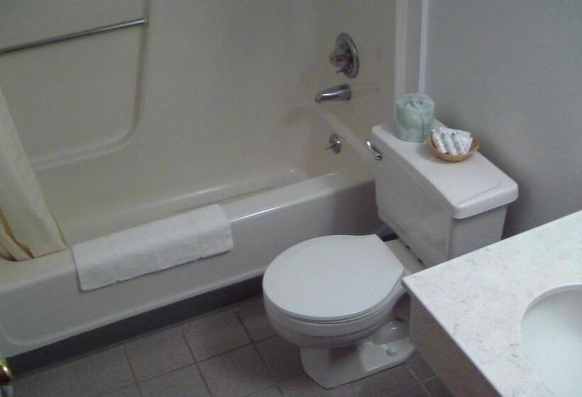 غرفة قياسية سرير كينج, Budget Inn Express