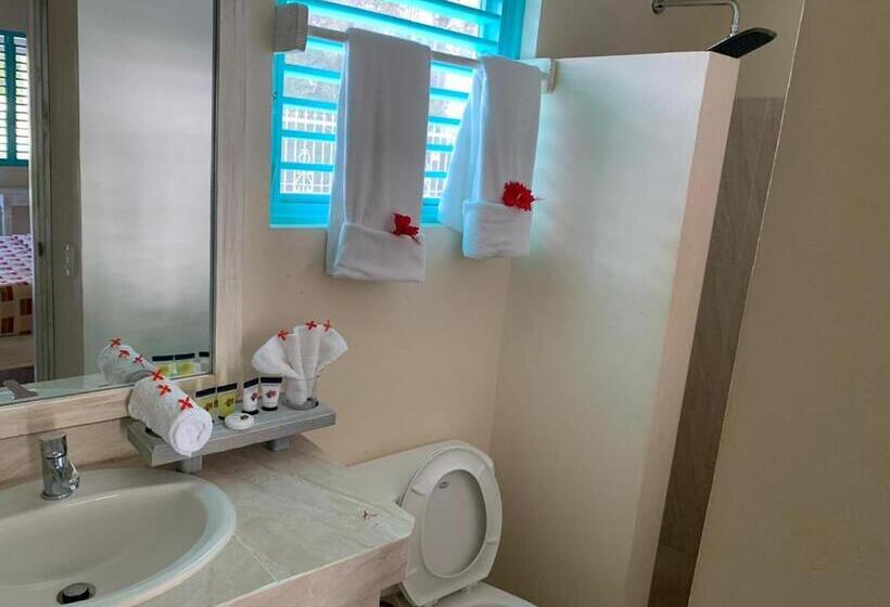 اتاق لوکس, Palmasvillas Al Mar