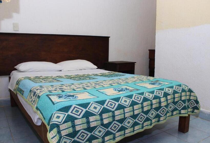 Chambre Standard, Alejandra