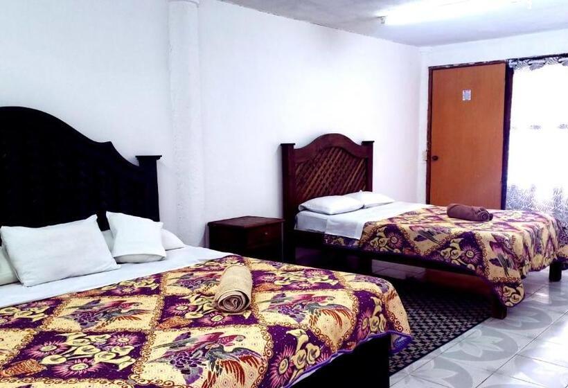 Chambre Quadruple Standard, Alejandra