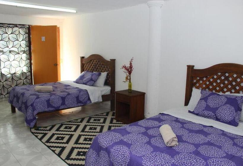 Chambre Quadruple Standard, Alejandra