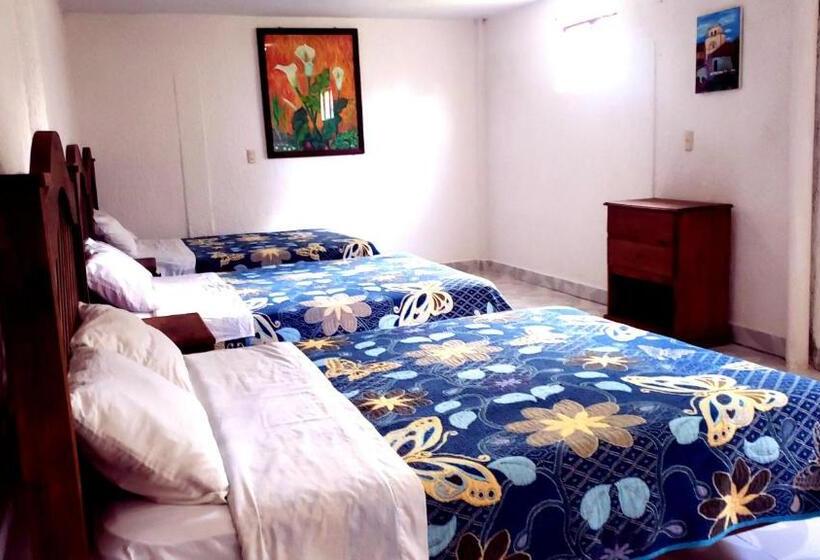 Chambre Familiale, Alejandra