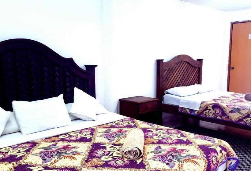 Chambre Quadruple Standard, Alejandra