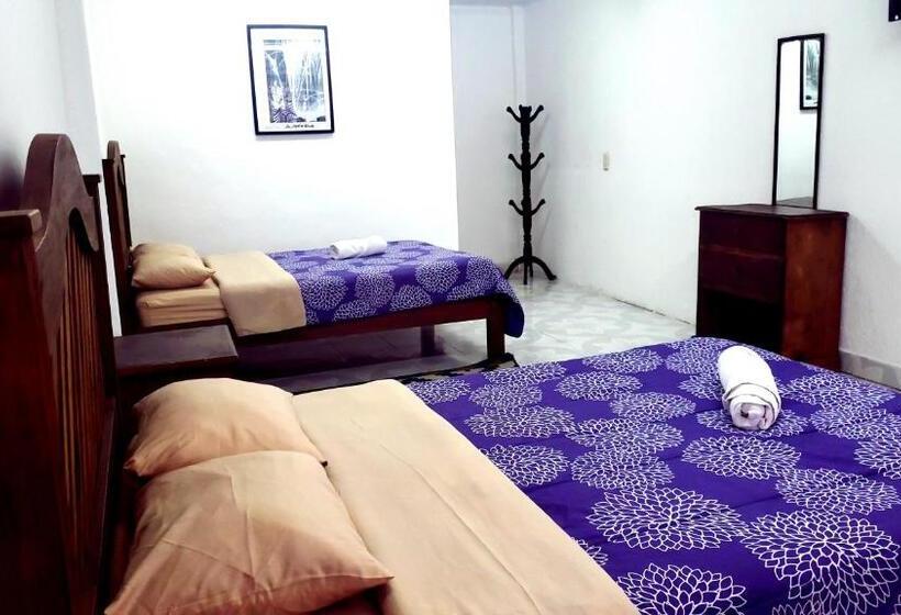 Chambre Quadruple Standard, Alejandra