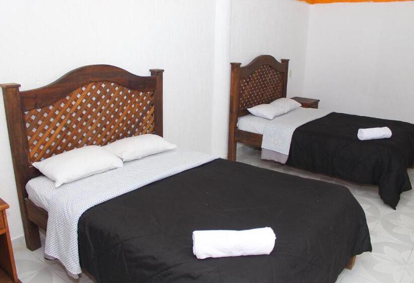 Chambre Quadruple Standard, Alejandra