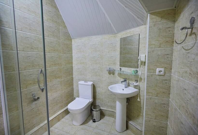 اتاق استاندارد, Art Elite