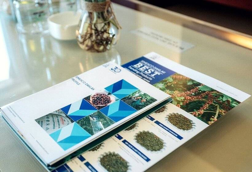 اتاق سوپریور, Biet Dien