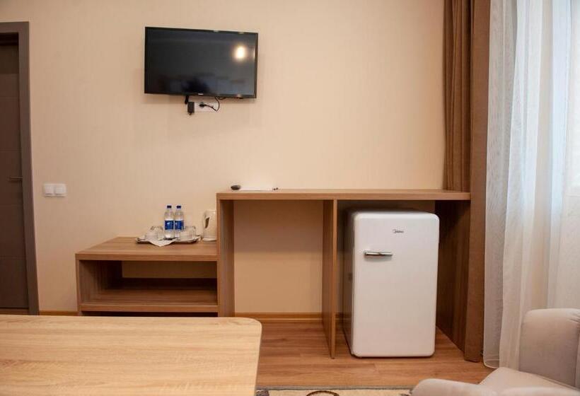 اتاق استاندارد یک نفره, Lotus Hotel Chisinau