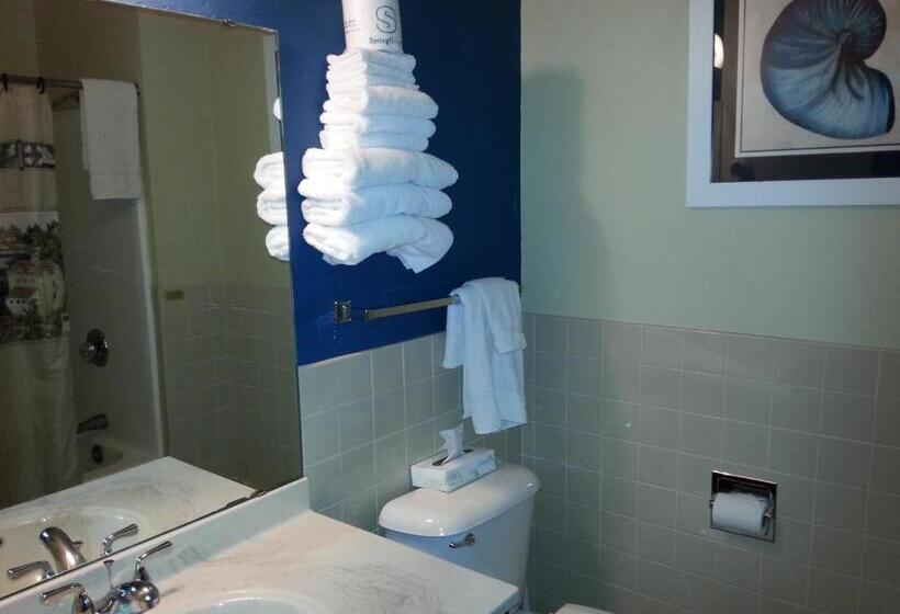 Номер Стандарт 2 Двуспальные Кровати, Beach Harbor Resort