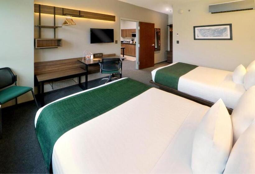 Люкс 2 Спальни, City Express Suites By Marriott Ciudad De México Santa Fe