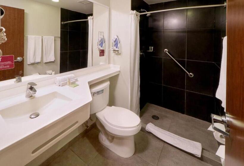 Люкс 2 Спальни, City Express Suites by Marriott Ciudad de México Santa Fe