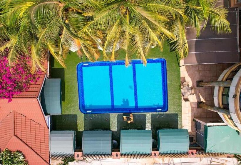 غرفة إقتصادية, Charleston