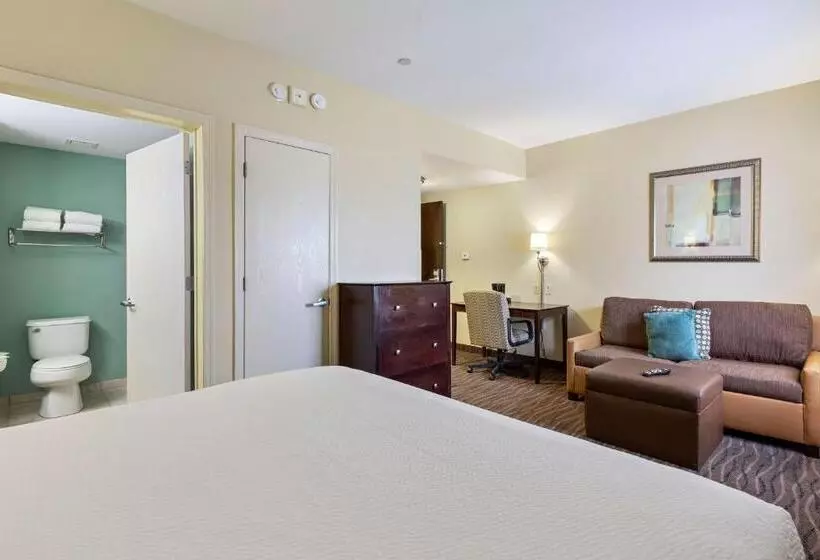 デラックススタジオ, Extended Stay America Premier Suites Lakeland I4