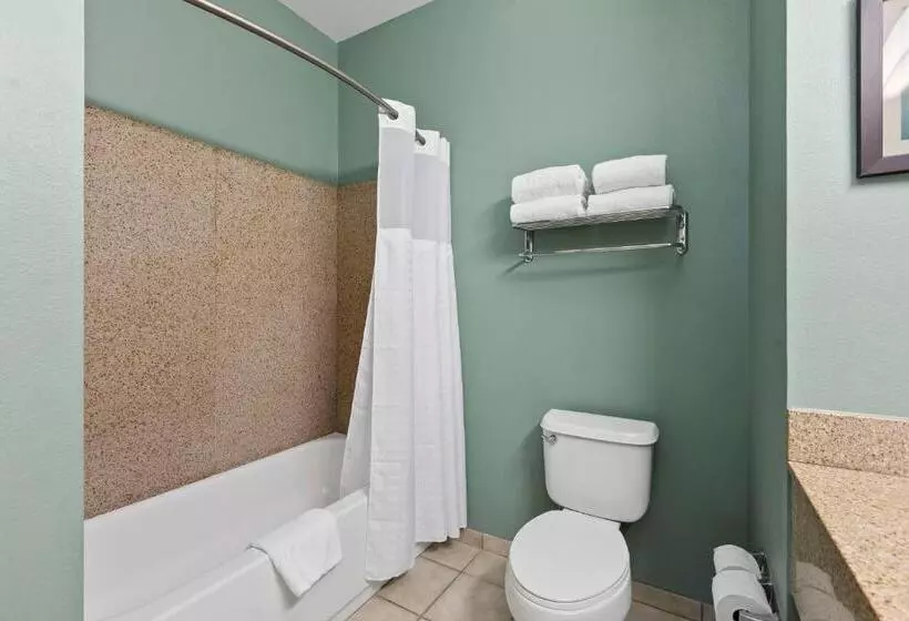 キングサイズベッドのスイートルーム, Extended Stay America Premier Suites Lakeland I4