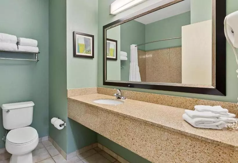 キングサイズベッドのスイートルーム, Extended Stay America Premier Suites Lakeland I4