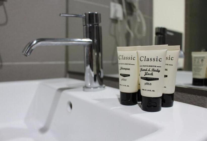 スタンダードルーム, V Garden