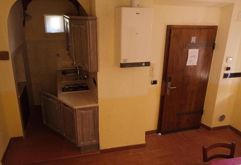 Апартаменты 1 Спальня Нижний Этаж, Villa Brignole