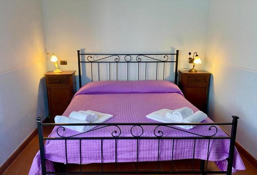 Апартаменты 1 Спальня Нижний Этаж, Villa Brignole