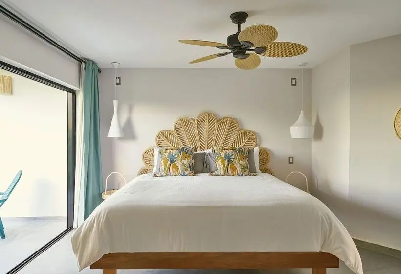 اتاق استاندارد با تخت بزرگ, Catalina Tropical Lodge