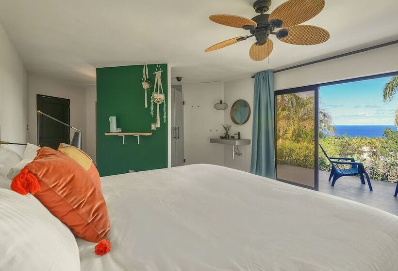 اتاق استاندارد با تخت بزرگ, Catalina Tropical Lodge