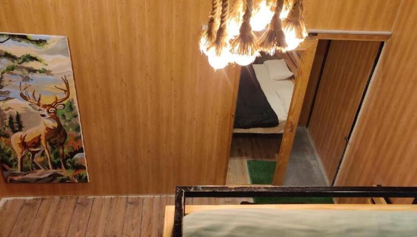 스탠다드 룸, Into The Wild Stays