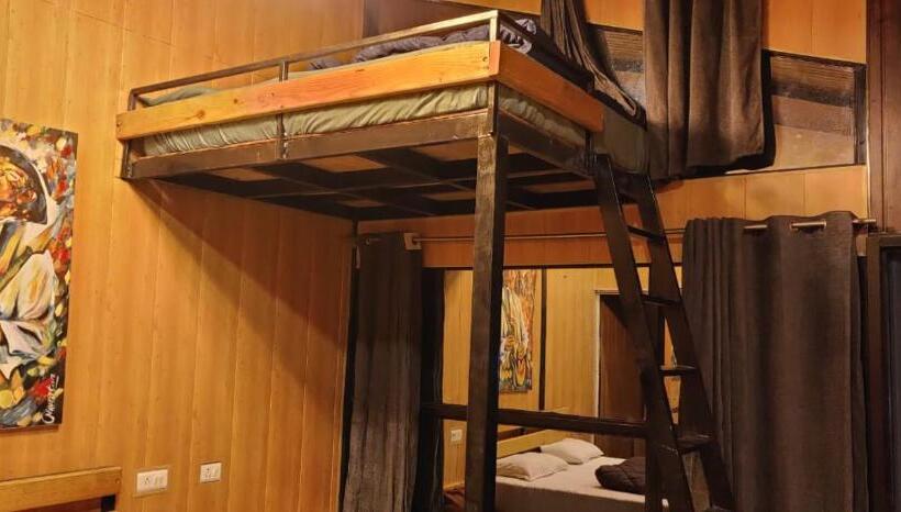 스탠다드 룸, Into The Wild Stays