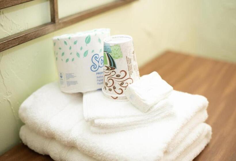 إستوديو قياسى سرير كينج, Evernia