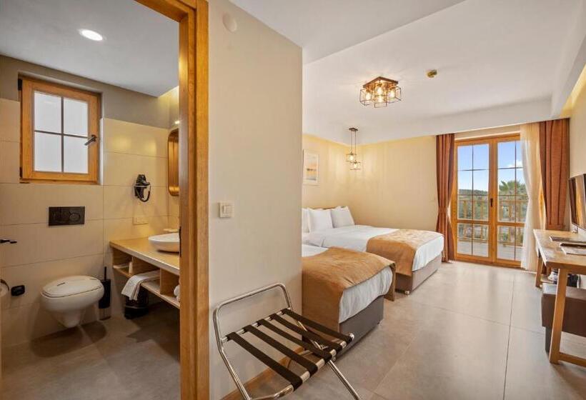 غرفة قياسية ثلاثية, Zeyt Inn