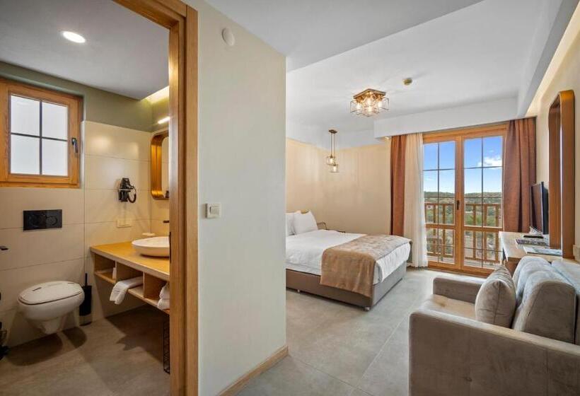 غرفة قياسية, Zeyt Inn