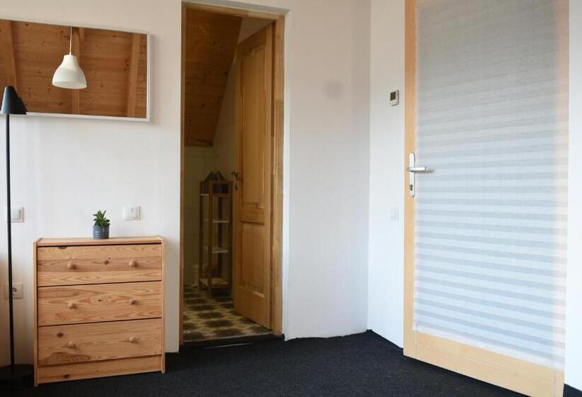 트리플 스탠다드 전망룸, Aster Panzió