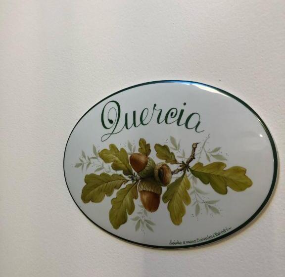 חדר סטנדרט נוף לגינה, Villa Shmitanka