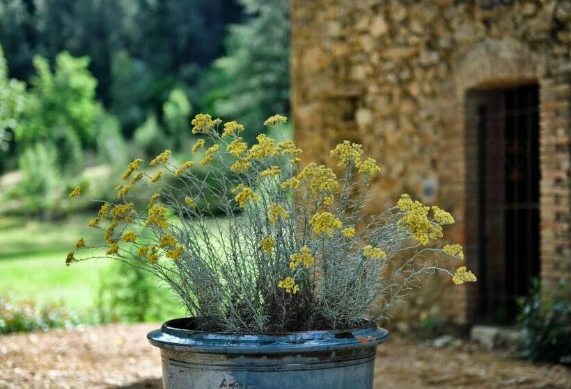 غرفة قياسية ثلاثية مطلة علي الحديقة, Les Jardins De Falguière