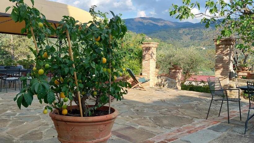 דירת חדר נוף לגינה, La Fornella Dell Anita